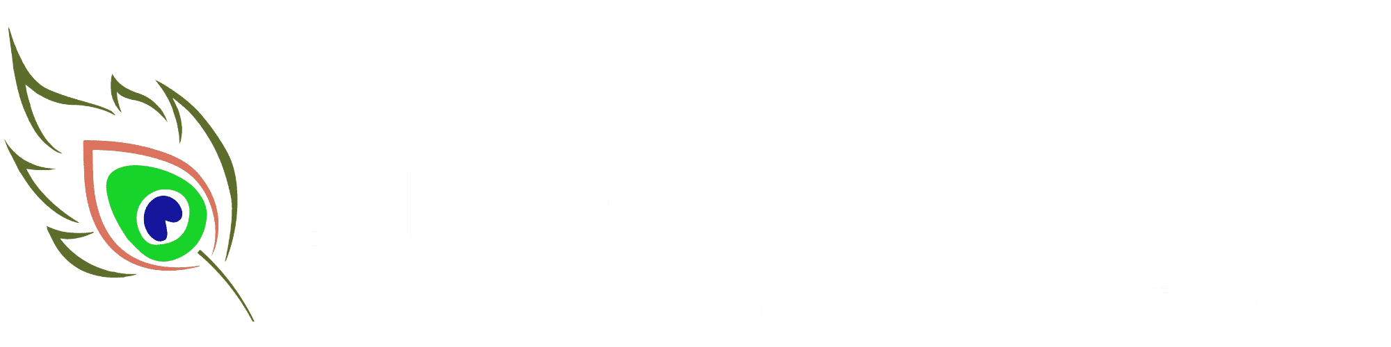 Silken Frame Kanjivaram Artworks